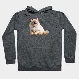 Saturday Cat!. Enjoy it (the saturday and the cat) Hoodie